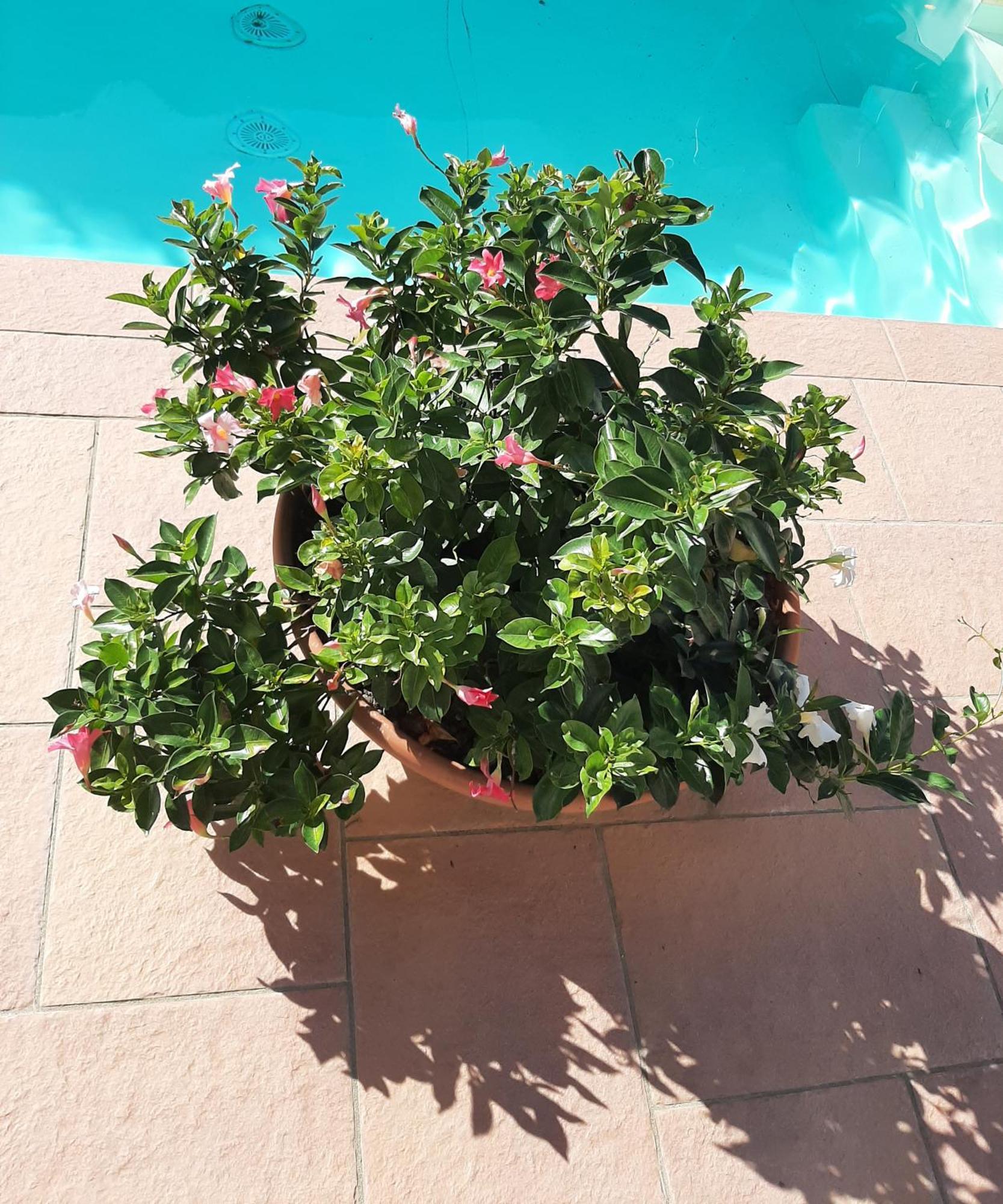 Borgo Dei Cadolingi Apartamento Gambassi Terme Exterior foto